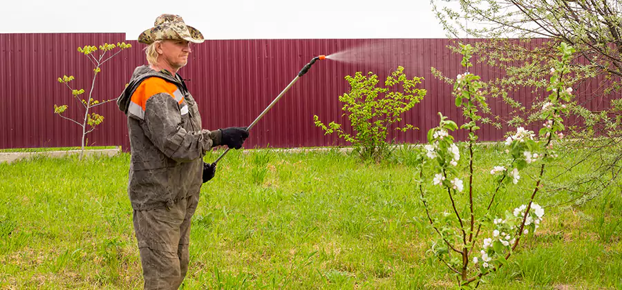 Flea and Tick Spray for Yard in Ypsilanti