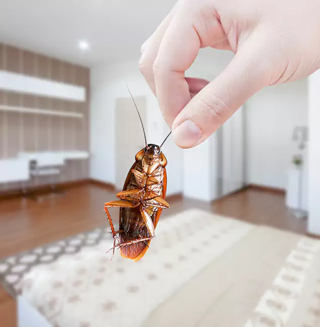 Why Ypsilanti Pest Control Pro Stand Out for Bed Bug Fumigation in Ypsilanti, MI?