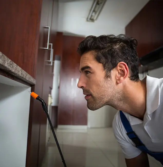Why Choose Ypsilanti Pest Control Pro for Bed Bug Removal Cost in Ypsilanti, MI?