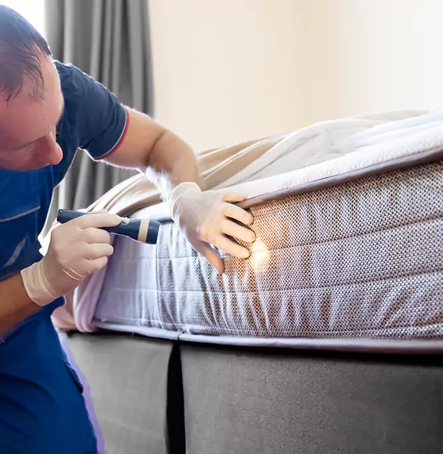 Why Choose Ypsilanti Pest Control Pro for Bed Bug Services in Ypsilanti, MI?