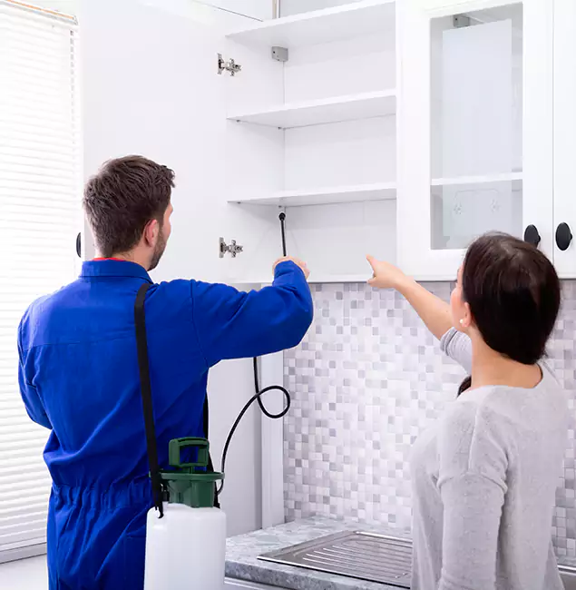 Why Choose Ypsilanti Pest Control Pro for Exterminator Services in Ypsilanti, MI?