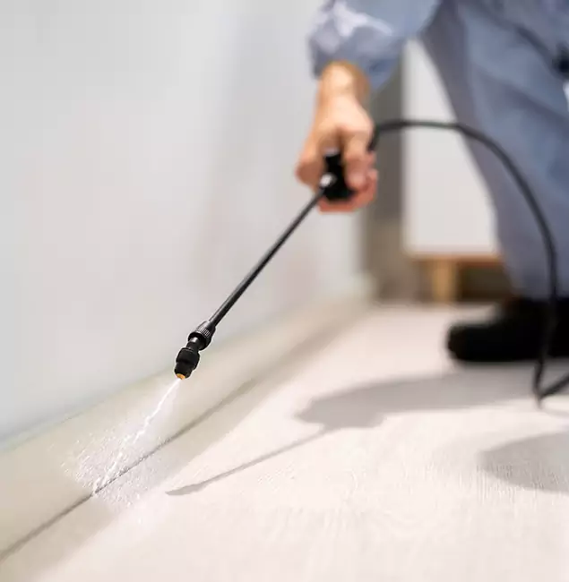 Why Choose Ypsilanti Pest Control Pro for Termite Treatment in Ypsilanti, MI?