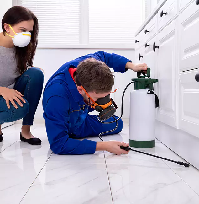 Why Ypsilanti, MI Homeowners Trust Ypsilanti Pest Control Pro for Roach Control?