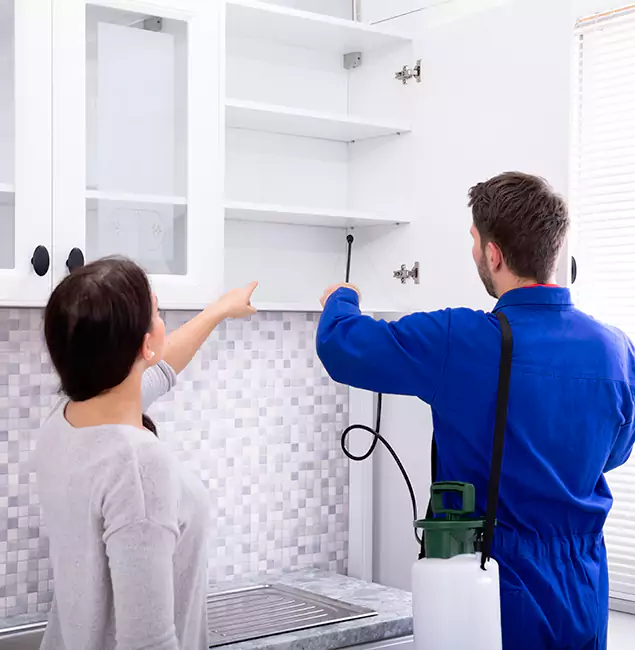 Why Ypsilanti Property Owners Choose Ypsilanti Pest Control Pro for Ground Bee Removal?