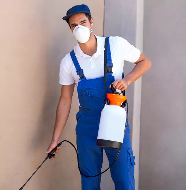 Why Ypsilanti Homeowners Trust Ypsilanti Pest Control Pro for Indoor Mosquito Control?