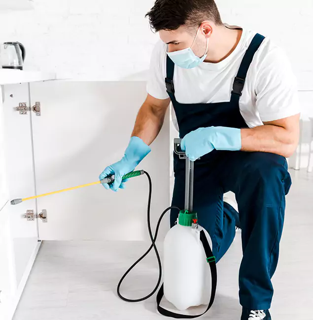 Why Choose Ypsilanti Pest Control Pro for Indoor Pest Control in Ypsilanti, MI?