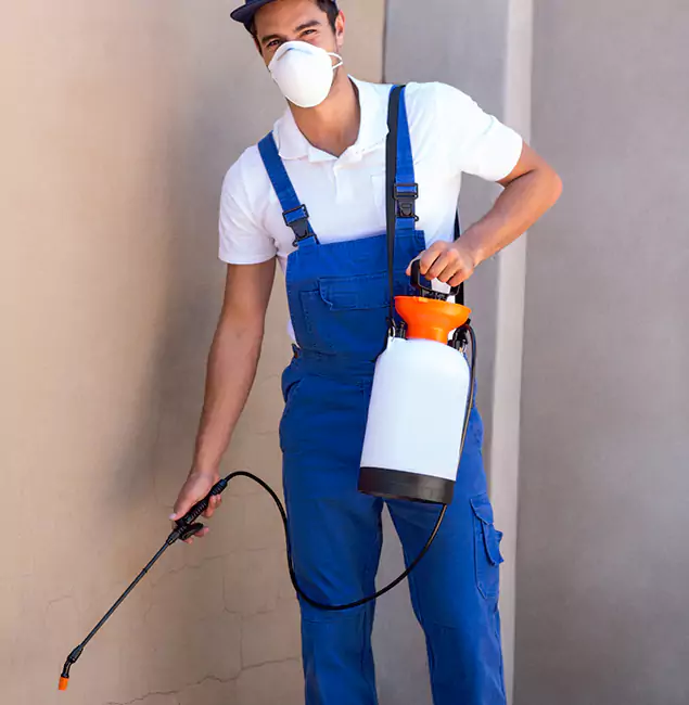 What Makes Ypsilanti Pest Control Pro the Right Choice in Ypsilanti, MI?