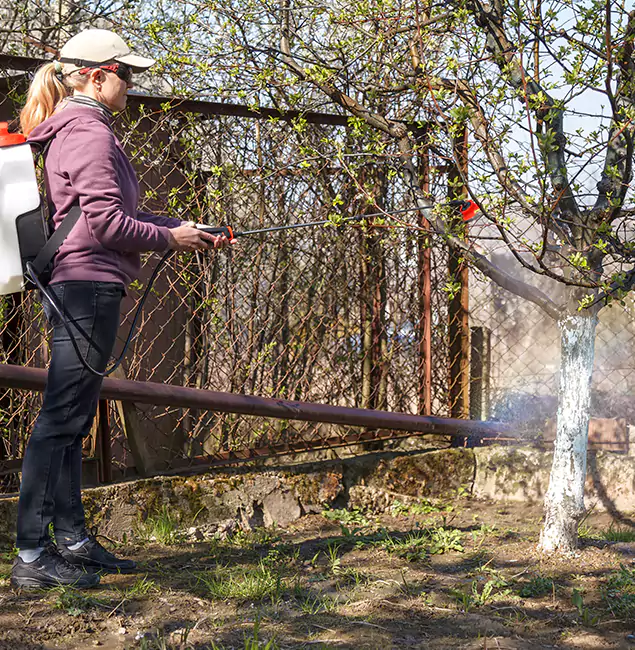 Why Ypsilanti Homeowners Choose Ypsilanti Pest Control Pro for Mosquito Abatement?