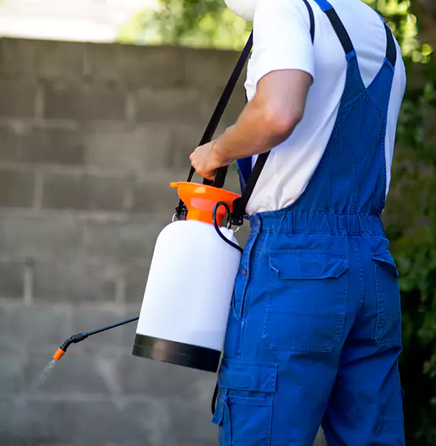 Why Ypsilanti Homeowners Rely on Ypsilanti Pest Control Pro for Mosquito Control?