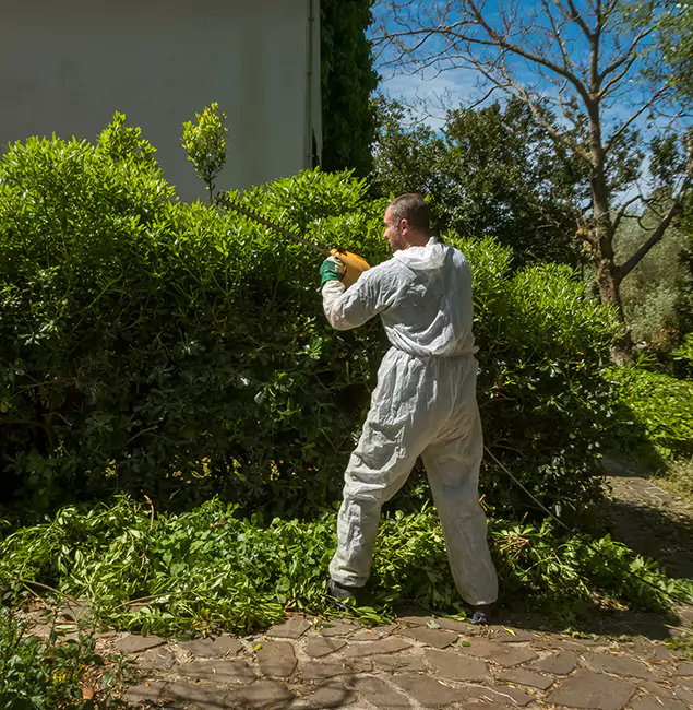Why Ypsilanti Pest Control Pro Leads Mosquito Control in Ypsilanti, MI?