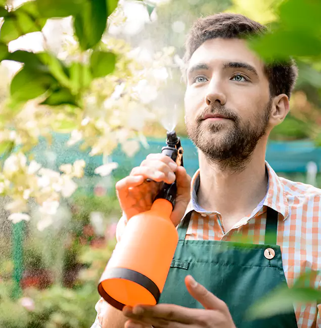 Why Ypsilanti Pest Control Pro Is the Best Mosquito Control Company in Ypsilanti, MI?