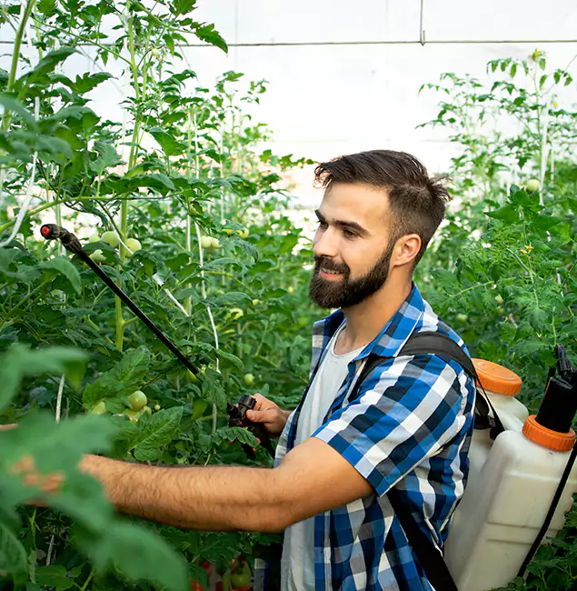 Why Ypsilanti Homeowners Choose Ypsilanti Pest Control Pro for Mosquito Spraying?