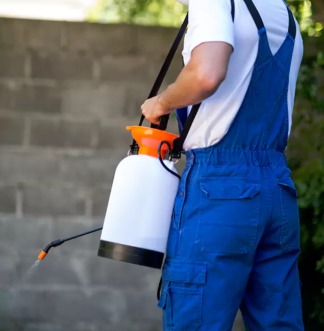 Why Ypsilanti Pest Control Pro Delivers the Best Mosquito Control in Ypsilanti, MI?