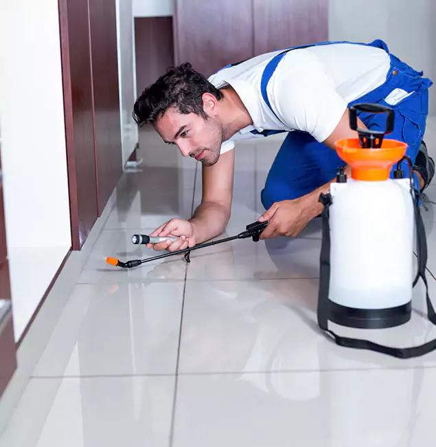 Why Ypsilanti Pest Control Pro Is the Proven Choice in Ypsilanti, MI?