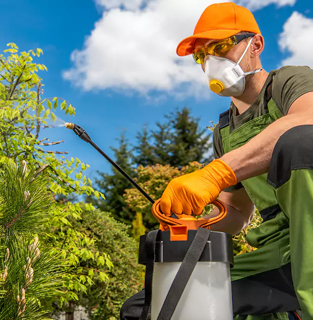 Why Choose Ypsilanti Pest Control Pro for Outdoor Pest Control in Ypsilanti, MI?