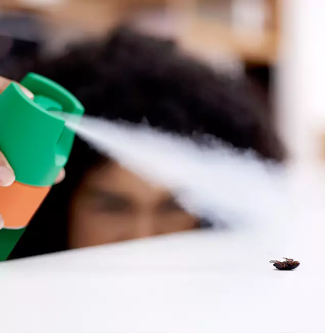 Why Ypsilanti, MI Homeowners Choose Ypsilanti Pest Control Pro for Roach Pest Control?