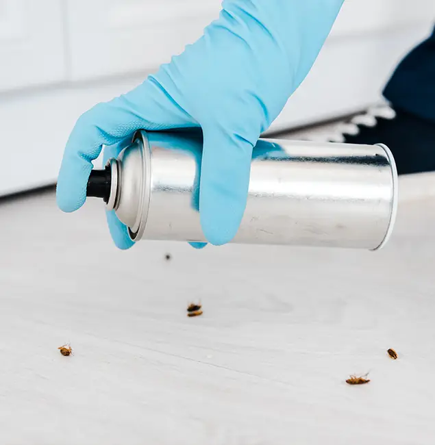 Why Choose Ypsilanti Pest Control Pro for Safe Bed Bug Treatment in Ypsilanti, MI?