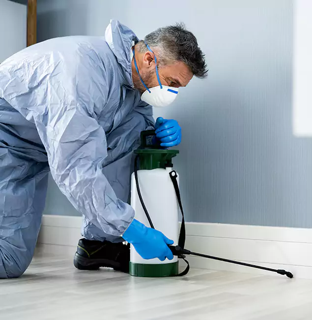 Why Choose Ypsilanti Pest Control Pro for Subterranean Termites Treatment in Ypsilanti, MI?