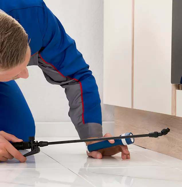 Why Ypsilanti Residents Choose Ypsilanti Pest Control Pro to Get Rid of Sugar Ants?
