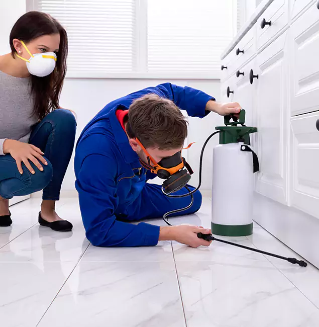 Why Choose Ypsilanti Pest Control Pro for Termite Inspection Cost in Ypsilanti, MI?