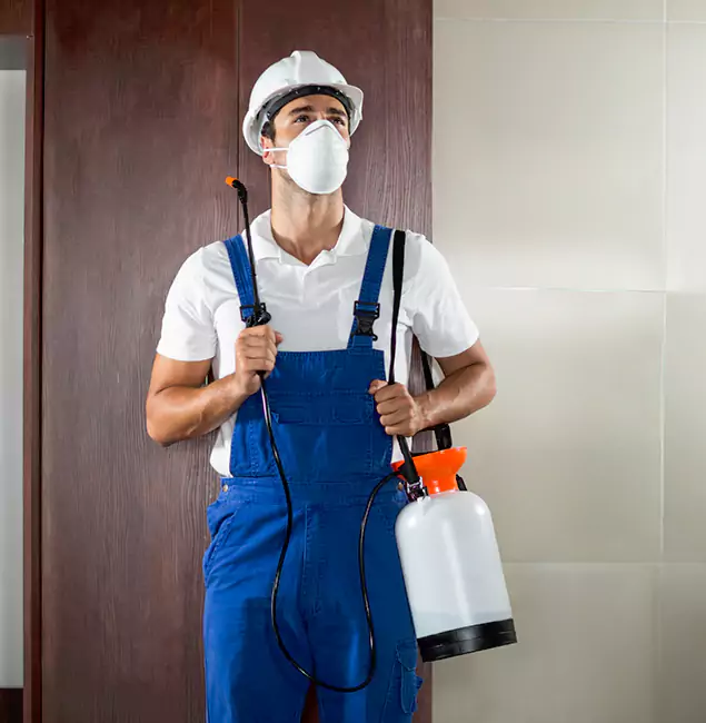 Why Choose Ypsilanti Pest Control Pro for Termite Tenting in Ypsilanti, MI?