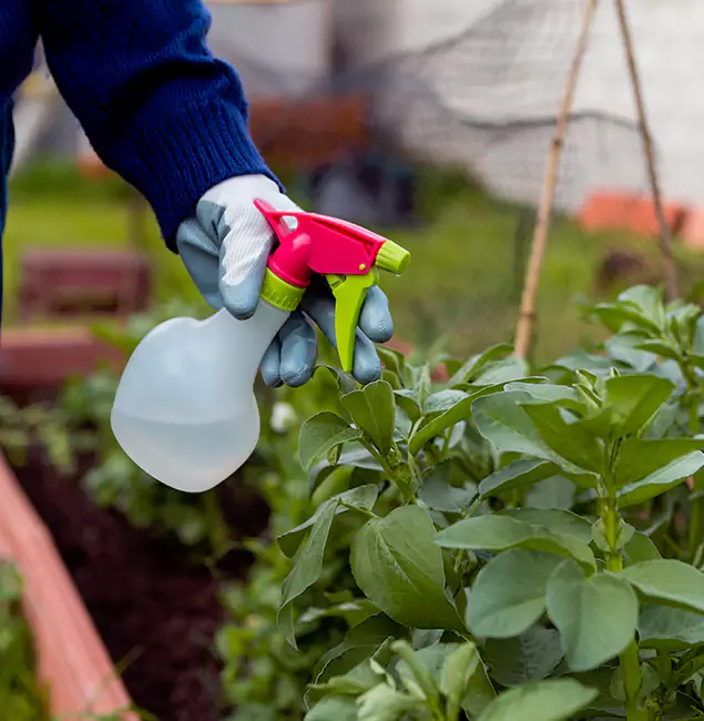 Why Ypsilanti Relies on Ypsilanti Pest Control Pro for Wasp Control Services?