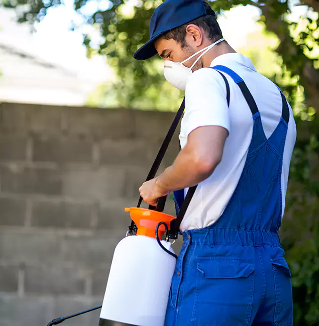 Why Ypsilanti Pest Control Pro Is the Right Choice for Yellow Jacket Removal in Ypsilanti, MI?