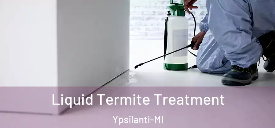 Liquid Termite Treatment Ypsilanti-MI
