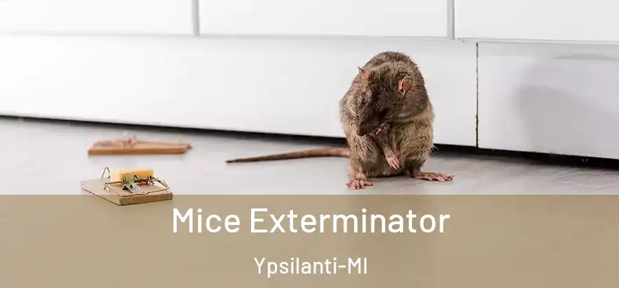 Mice Exterminator Ypsilanti-MI