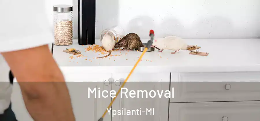 Mice Removal Ypsilanti-MI