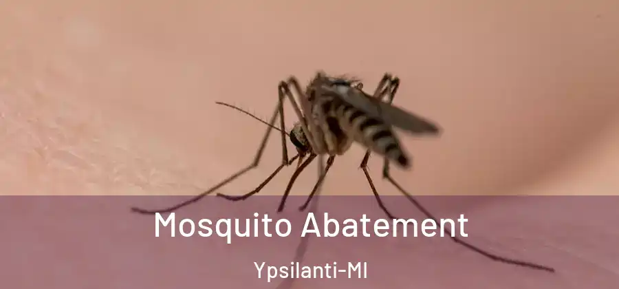Mosquito Abatement Ypsilanti-MI