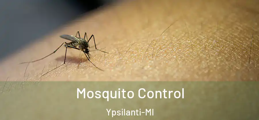 Mosquito Control Ypsilanti-MI