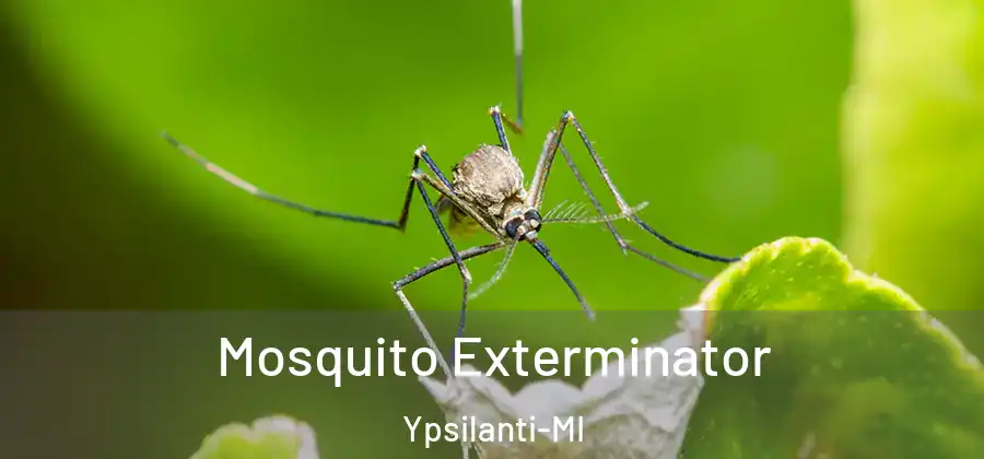 Mosquito Exterminator Ypsilanti-MI