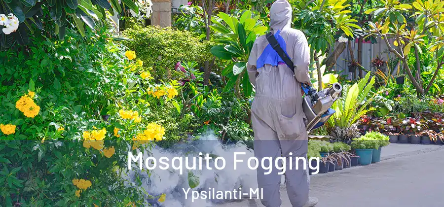 Mosquito Fogging Ypsilanti-MI