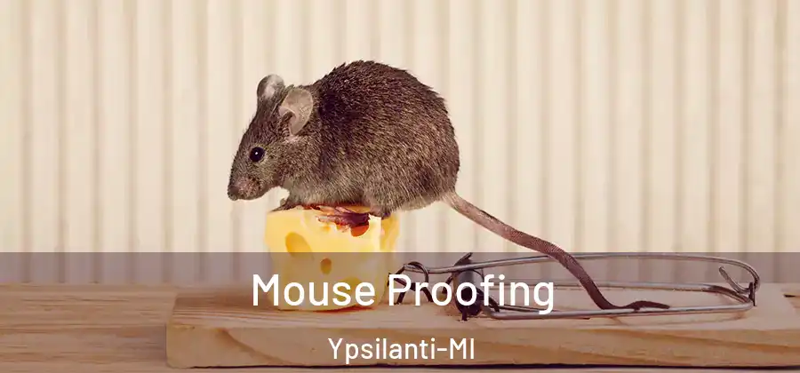 Mouse Proofing Ypsilanti-MI