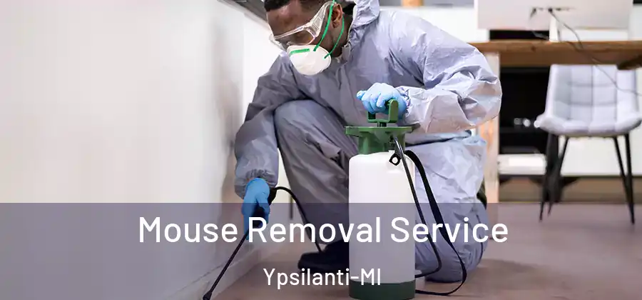  Mouse Removal Service Ypsilanti-MI