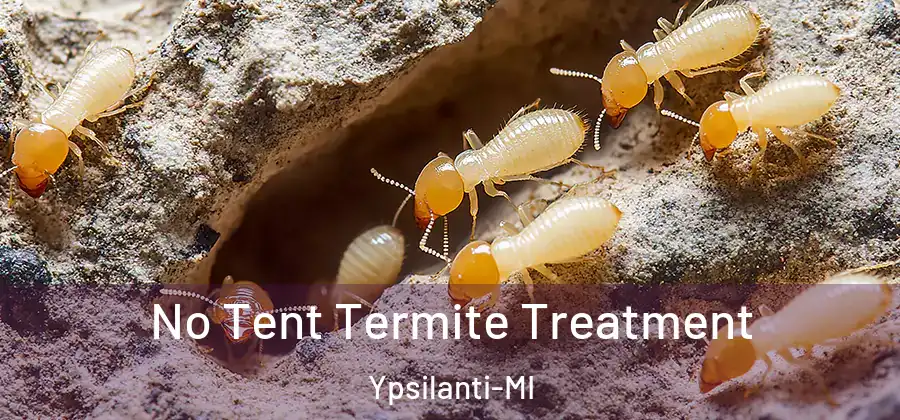  No Tent Termite Treatment Ypsilanti-MI