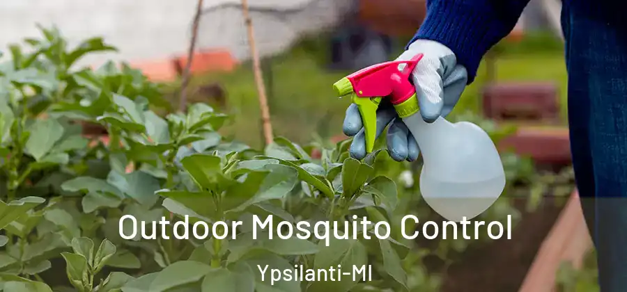 Outdoor Mosquito Control Ypsilanti-MI