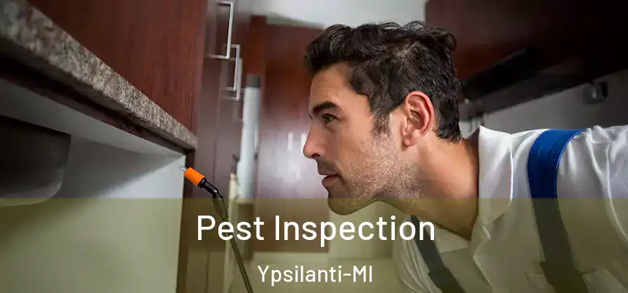 Pest Inspection Ypsilanti-MI