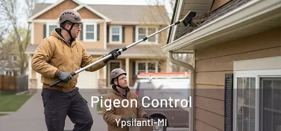 Pigeon Control Ypsilanti-MI