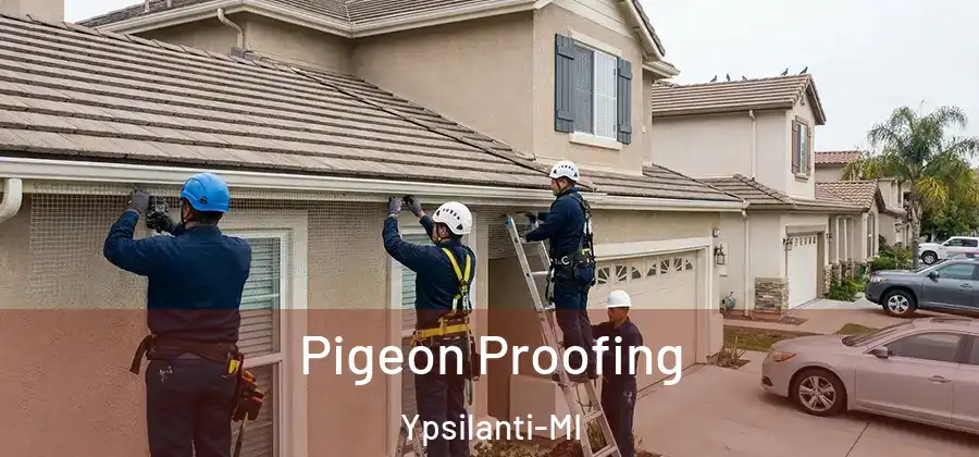 Pigeon Proofing Ypsilanti-MI
