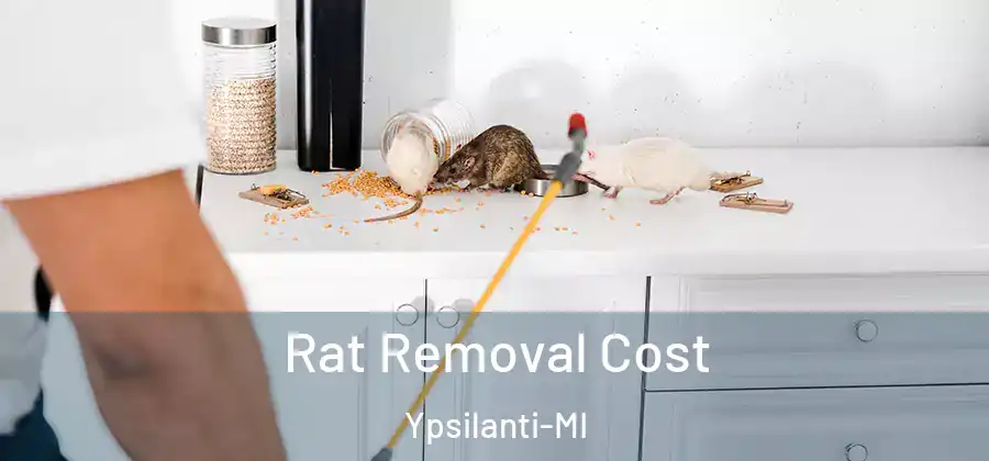 Rat Removal Cost Ypsilanti-MI