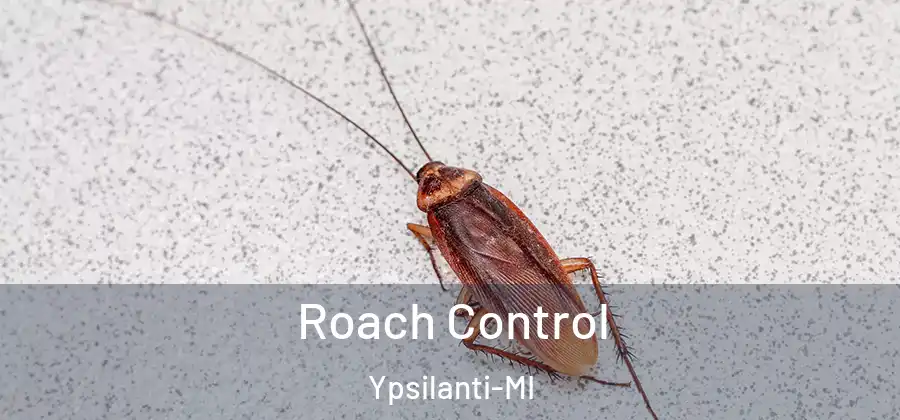  Roach Control Ypsilanti-MI