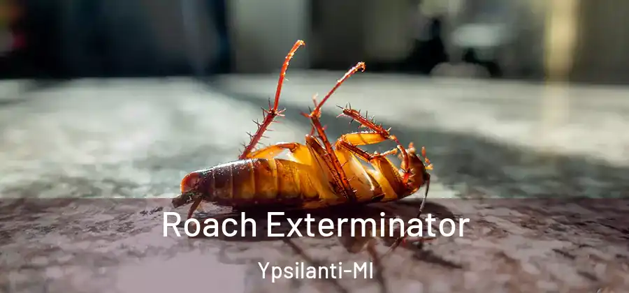 Roach Exterminator Ypsilanti-MI