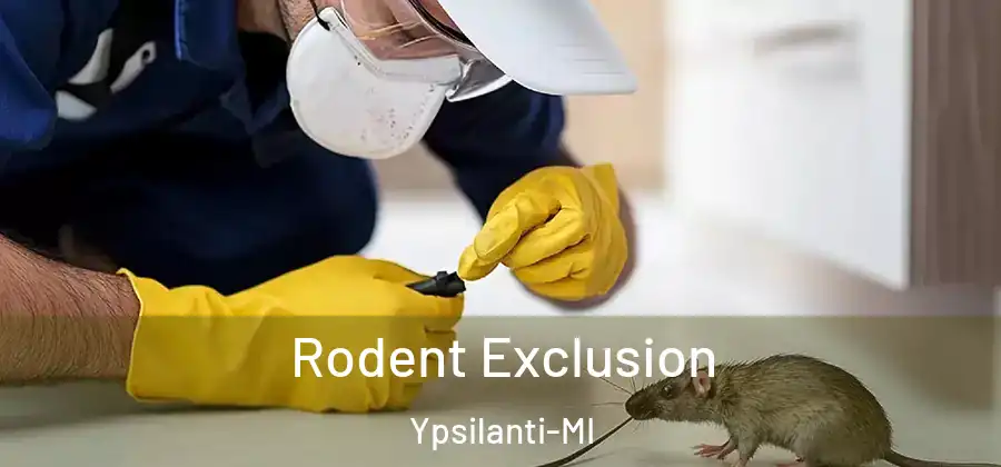 Rodent Exclusion Ypsilanti-MI