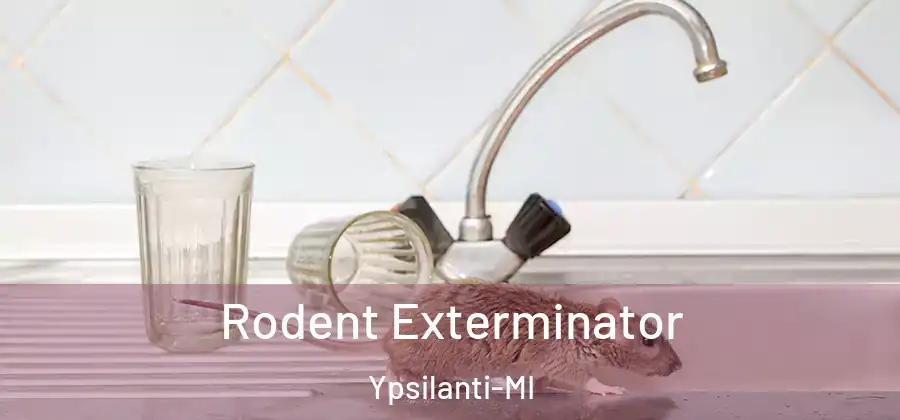 Rodent Exterminator Ypsilanti-MI