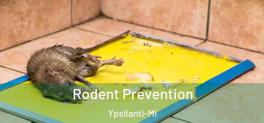 Rodent Prevention Ypsilanti-MI