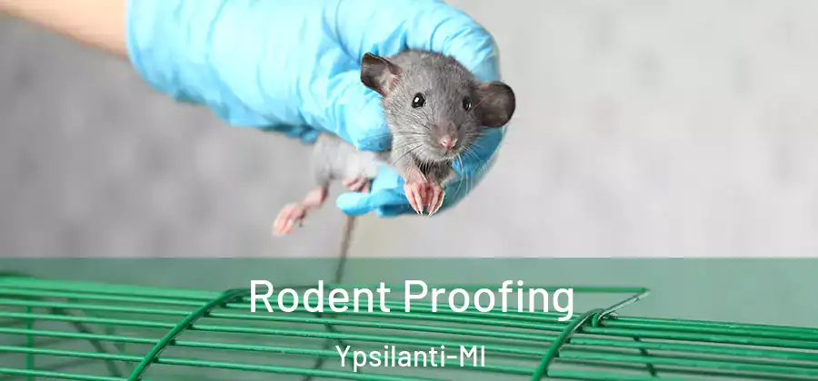 Rodent Proofing Ypsilanti-MI