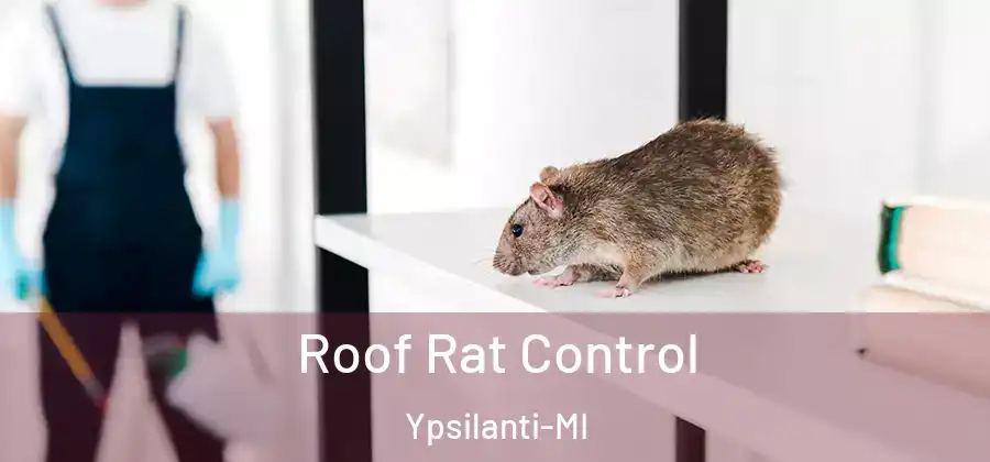 Roof Rat Control Ypsilanti-MI