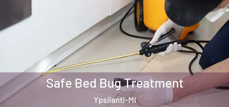  Safe Bed Bug Treatment Ypsilanti-MI